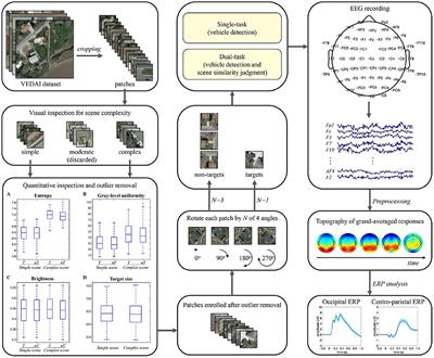 How Native Background Affects Human Performance in Real-World Visual Object Detection: An Event-Related Potential Study